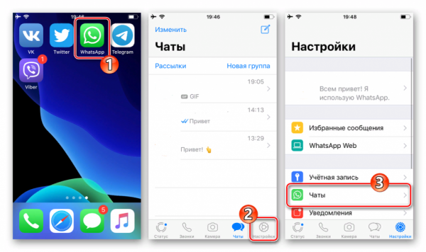 Резервная копия WhatsApp: зачем ее включать и как восстановить