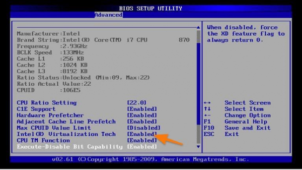 Что такое Intel Virtualization Technology в BIOS