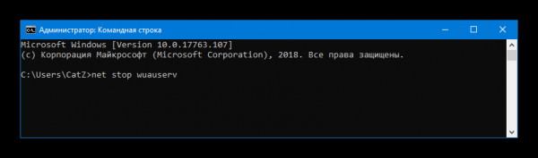 Исправляем ошибку 0xc190011f в Windows 10