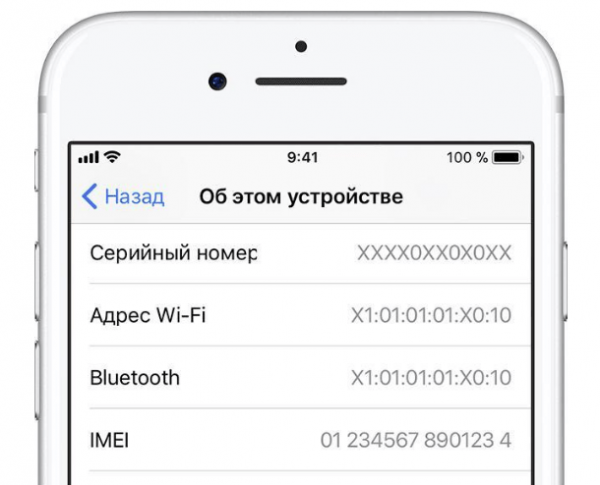 Как проверить iPhone перед покупкой с рук