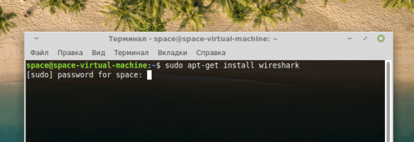 Как пользоваться Wireshark в Linux